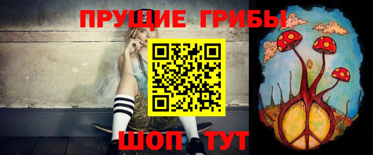 Псилоцибиновые грибы GOLDEN TEACHER Ревда