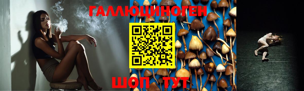 Псилоцибиновые грибы мухоморы  Вход с VPN  Ревда 